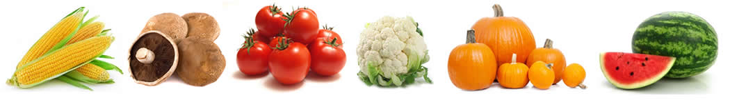 Produce Items at Waukesha Farmers Market
